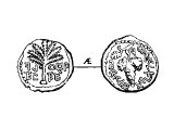 Half Shekels, copper. Left: palm tree &`;Simon, Prince of Israel&`;. Right: vine leaf &`;First Year of the Redemption of Israel&`;.